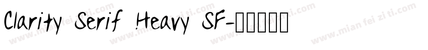 Clarity Serif Heavy SF字体转换